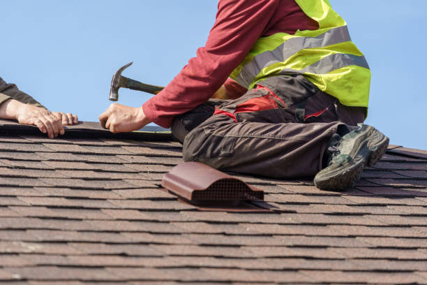 Best Roof Gutter Cleaning  in Start, LA